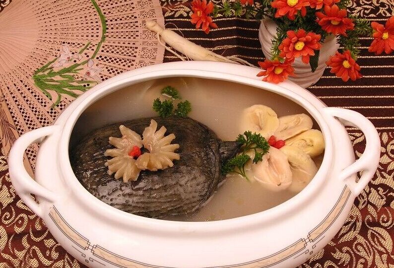 养生菜肴药膳滋补甲鱼